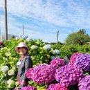 안성리-9 이미지