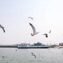 옹암 막걸리 | 자전거캠핑후기) 장봉도 진촌해변 (1/2)