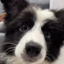 (주)브이엠씨 이미지