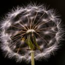 반포대로28길 94 이미지