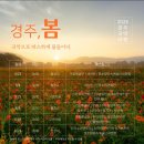 2024 경주국악여행 국악열전 이미지