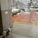 안호범안스성형외과의원 | 일상 | 바쁘다 연말 약속🔥 /안호범성형외과(상안검)/임산부선물/크리스마스준비/집들이/강아지옷...