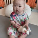 도치릴리