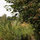 몽샤우 | 독일-벨기에 국경, 몽샤우 Monschau