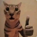 알라딘목장 | 부모님과 도란도란 나트랑 여행 (1) + 판랑사막투어 꿀팁!