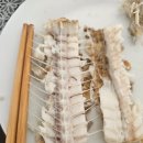 라포독 | [호주 시드니 여행]시드니 15일~16일 재밌었던 호주 여행 마무리