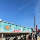 대한식육식당 | 광주 애호박찌개 맛집 명화식육식당 후기｜싸이도 다녀간 곳, 웨이팅·메뉴·가격 정리