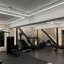 피티바이패스 이미지