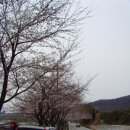 사포정비공업사 이미지