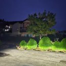 솔라티펜션 이미지