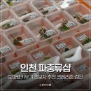 세븐일레븐 청라초은점 | 인천 파충류샵 도마뱀키우기 초보자 추천 크레리즘 검단아라점