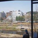 섬데이 제주 이미지