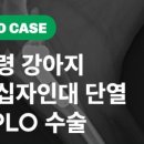 에이드동물병원 이미지