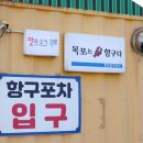 항구맛집 - 강릉시 | 항구맛집