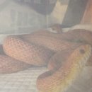 최영민 동물의료센터 이미지