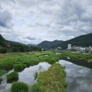 청도천6 Daum카페