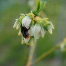 뉴그린팜 이미지