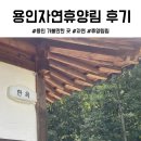 용인자연휴양림 | 용인자연휴양림 워크샵 후기