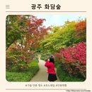 숲실제3농로 | [공지] [광주 화담숲] 10월 26일 방문 후기 🍂 단풍은 아직 초입이지만 이번 주말부터 절정 예상!