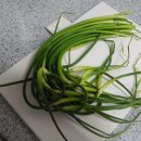 돈돌이농장 이미지