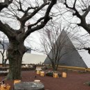 건축사사무소 비온에이 | 제주 유지커피웍스 노키즈 대형카페 내돈내산 후기