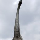 합기도 유성관 이미지