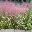 홍이목장 이미지