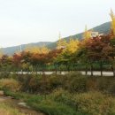 팔도공인중개사사무소 이미지