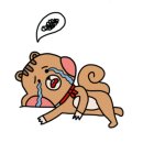 오쏘뮬