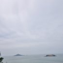 연평투어 온