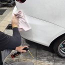 루스터 디테일링 이미지