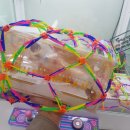 행복뽑기방 이미지