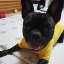 경서동물병원 이미지