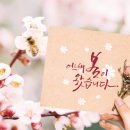 H1018 이미지