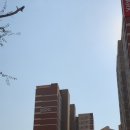 삼척여자고등학교 | 동해 아이파크 아파트 임장 후기 : 강원도 동해시 이도동