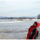 우포늪 광장 이미지