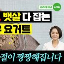 두유 요거트 이렇게 드셔 보세요 뼈를 꽉 채우는 두유 요거트 만드는 법 이미지