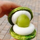 순순(soonsoon) 이미지