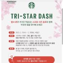 브라운스프링 이미지