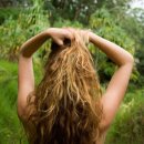 트루소프트 이미지