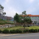 조림초등학교 이미지