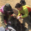 볼빨간 농원 이미지