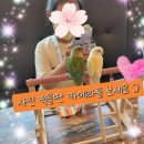 앵무새카페 이미지