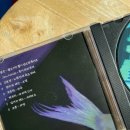 완월동162 | 밀린 일기) 일상 속 전시, 공간, 다큐 그리고 동물의 숲