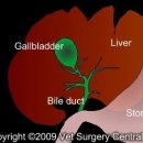 로로동물의료센터 이미지