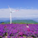 신원면 과정리 이미지