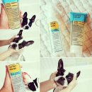 펫쓰리엘 | [반려견 샴푸/천연샴푸/펫쓰리엘/체험후기] 퍼즈야드 반려견 샴푸-스프레이형