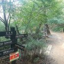 양천근린공원 이미지