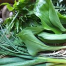 뜨락농원 이미지