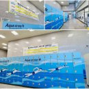 별내커뮤니티센터 수영장 | 별내커뮤니티센터 수영장 평일·주말 자유수영 체험기 및 시설 리뷰